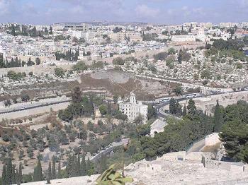 Shabbat Shoftim – Judges – Sabbath Readings and video commentary