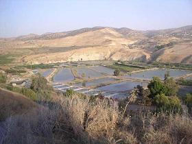 Shabbat VaYikra Readings and Video-Commentary