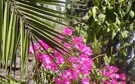 Passover Shabbat Chol haMoed Readings