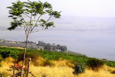 Parashat Shabbat Behar-Bechukotai