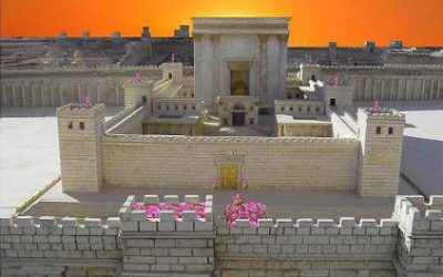 Weekly Torah Study on Shabbat TETZAVE